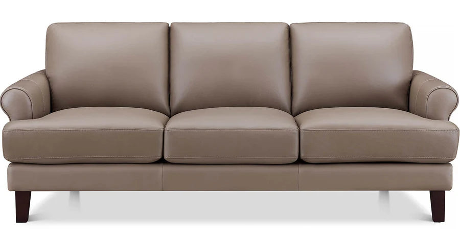 Dawn Leather Sofa Collection - Barr’s Furniture (Riverside CA)