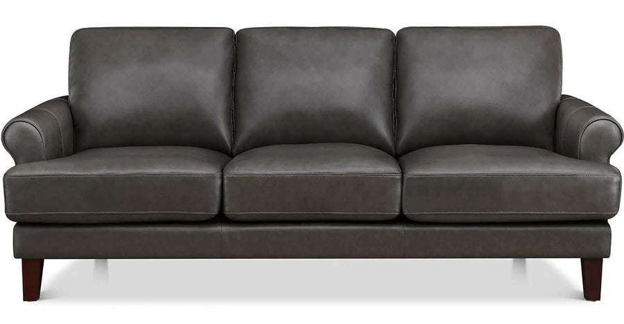 Dawn Leather Sofa Collection - Barr’s Furniture (Riverside CA)