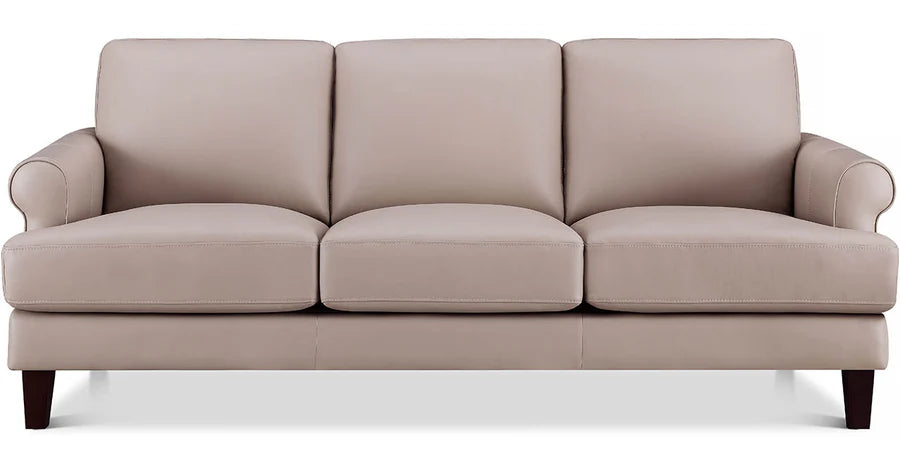 Dawn Leather Sofa Collection - Barr’s Furniture (Riverside CA)