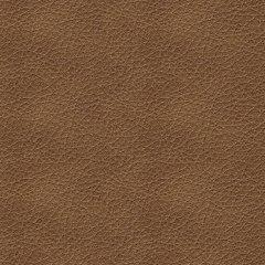 Bolsena Sofa Sleeper - Barr’s Furniture (Riverside CA)