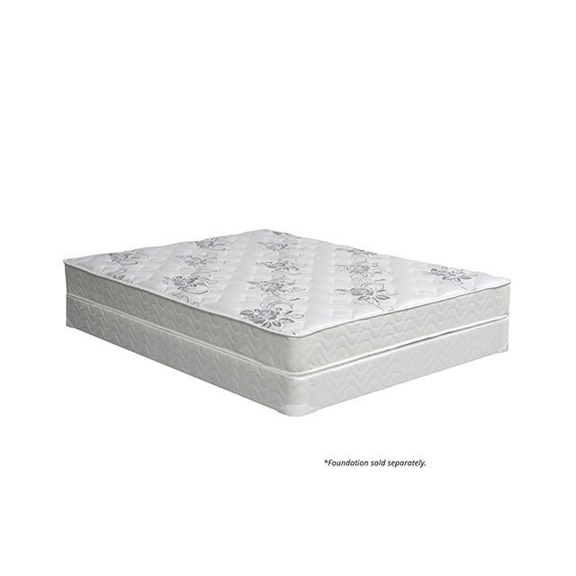 ELBERTYNA White 8" Tight Top Mattress, Twin - Barr’s Furniture (Riverside CA)