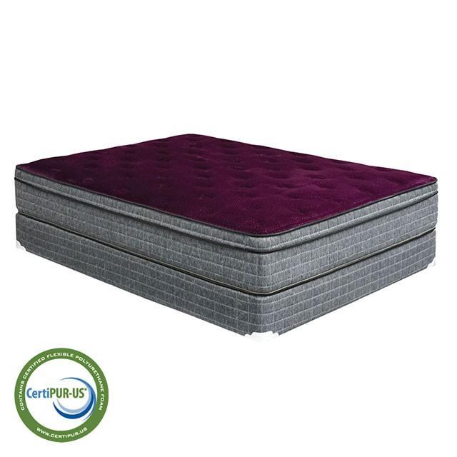 Purple/Grey 13" Euro Pillow Top Mattress Non-Flip, Full - Barr’s Furniture (Riverside CA)
