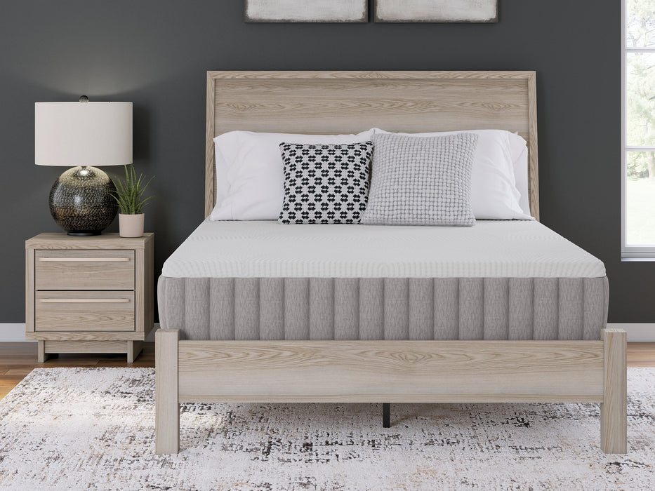 Terra Sleep Medium Mattress