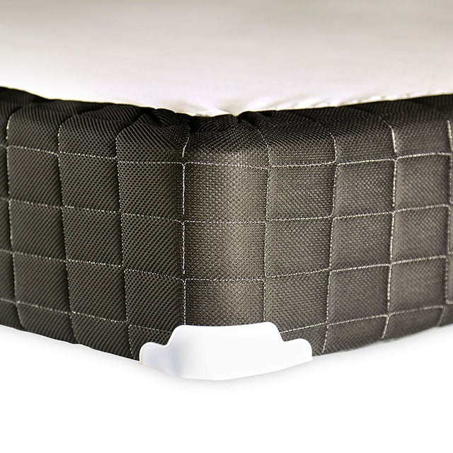 Minnetonka Foundation